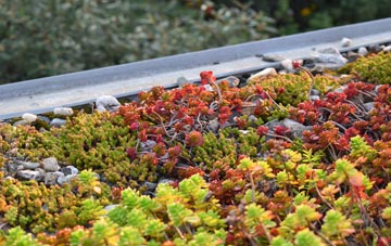 the cost of Tideford Cross green roof installation