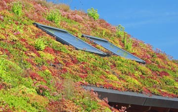 Tideford Cross living roof systems